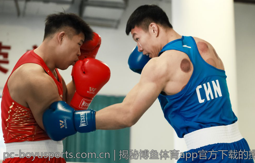 揭秘博鱼体育app官方下载的操作流程