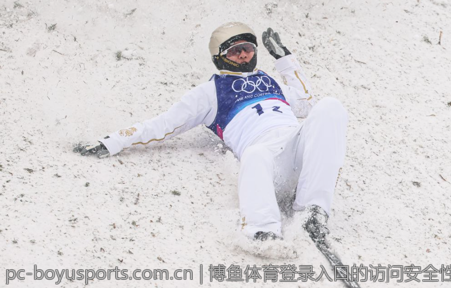 博鱼体育登录入口的访问安全性与防护措施