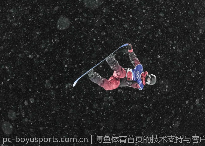 博鱼体育首页的技术支持与客户服务探讨